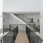 Perez Zara 5 *